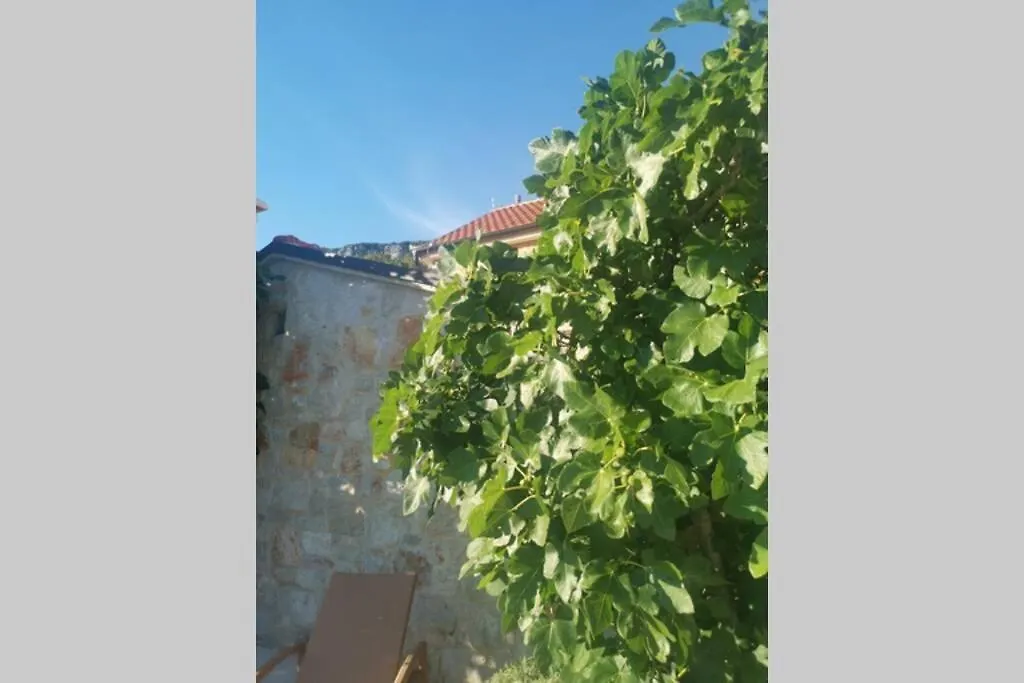 Domaine Vinodolsun Zwei Villen, Ein Grundstueck Und Platz Fuer Bis Zu 20 Personen Bribir  0*, Bribir (Primorje-Gorski Kotar) Croatia