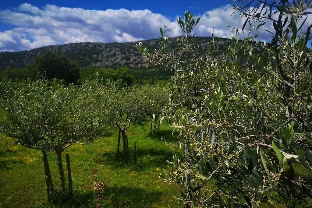 Domaine Vinodolsun Zwei Villen, Ein Grundstueck Und Platz Fuer Bis Zu 20 Personen Bribir  0*, Bribir (Primorje-Gorski Kotar) Croatia